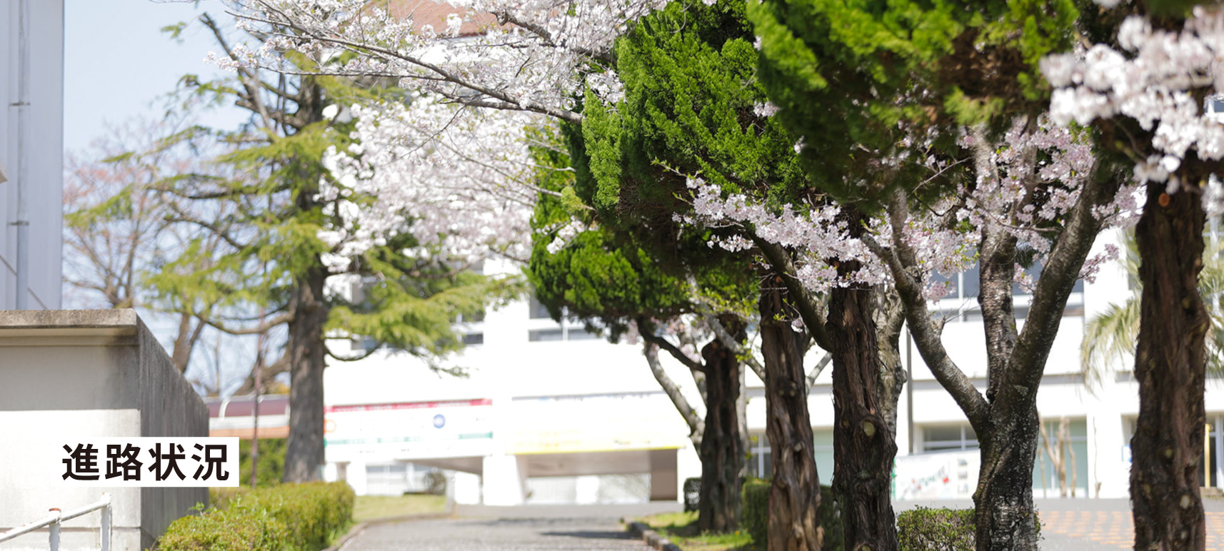 進路状況